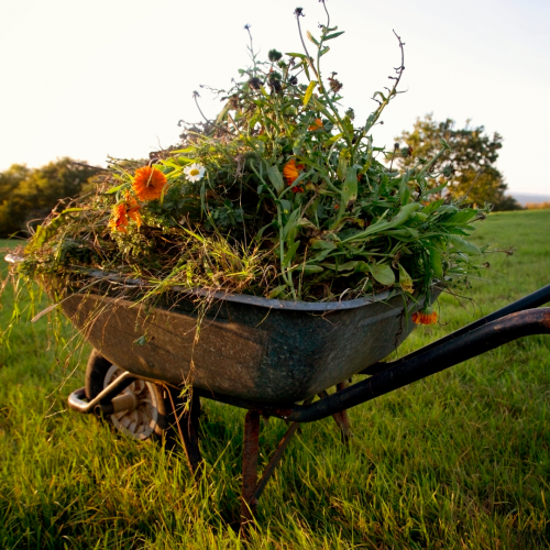 Déchets de jardin