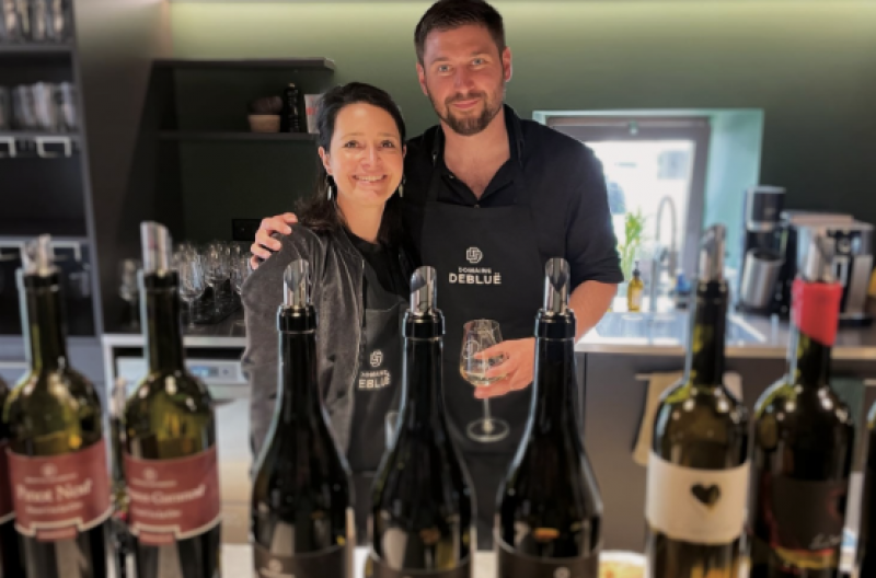 Domaine Les Fancous (Domaine Debluë)