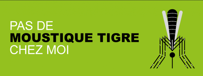 Moustique tigre: une espèce envahissante qui présente des risques sanitaires