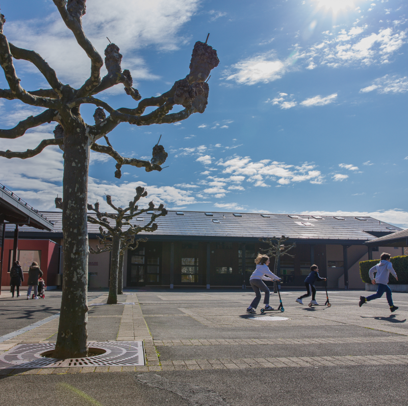 Ecoles publiques de Terre Sainte 