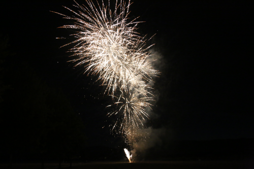 Photo 1er août - Founex