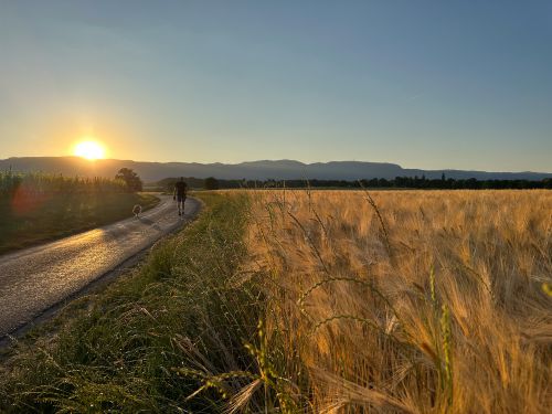Randonnées à Founex